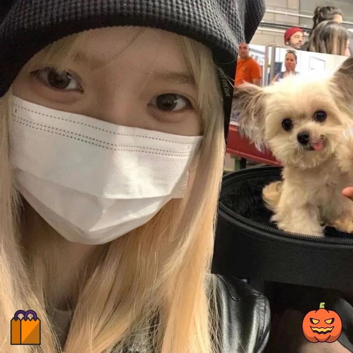 Ming